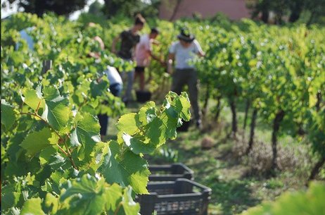 EXPLOITATION VALABRE EXPLOITATION VALABRE