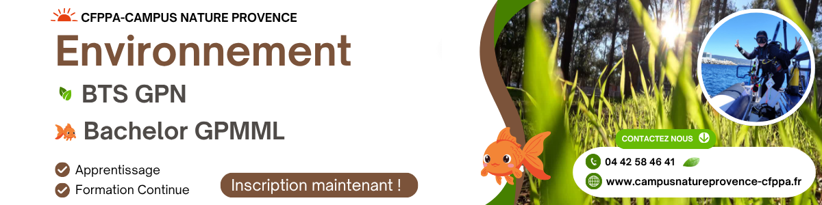 Formations Environnement